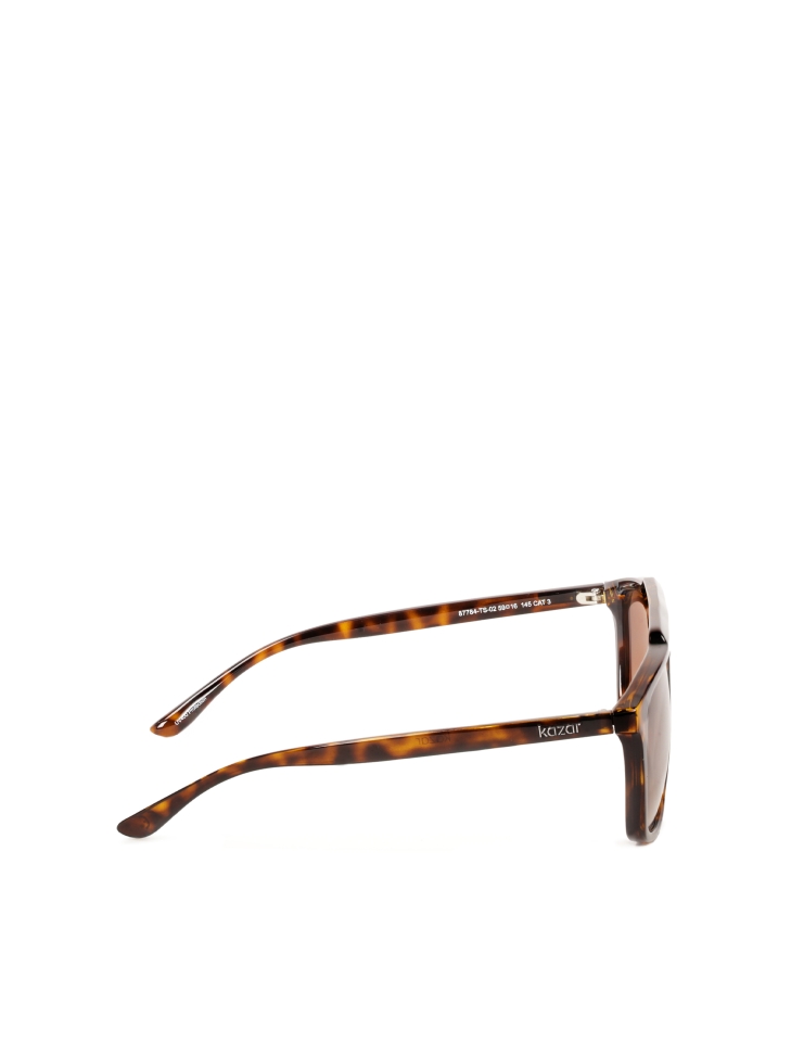 Lunettes de soleil polarisées marron IGNACCIOS