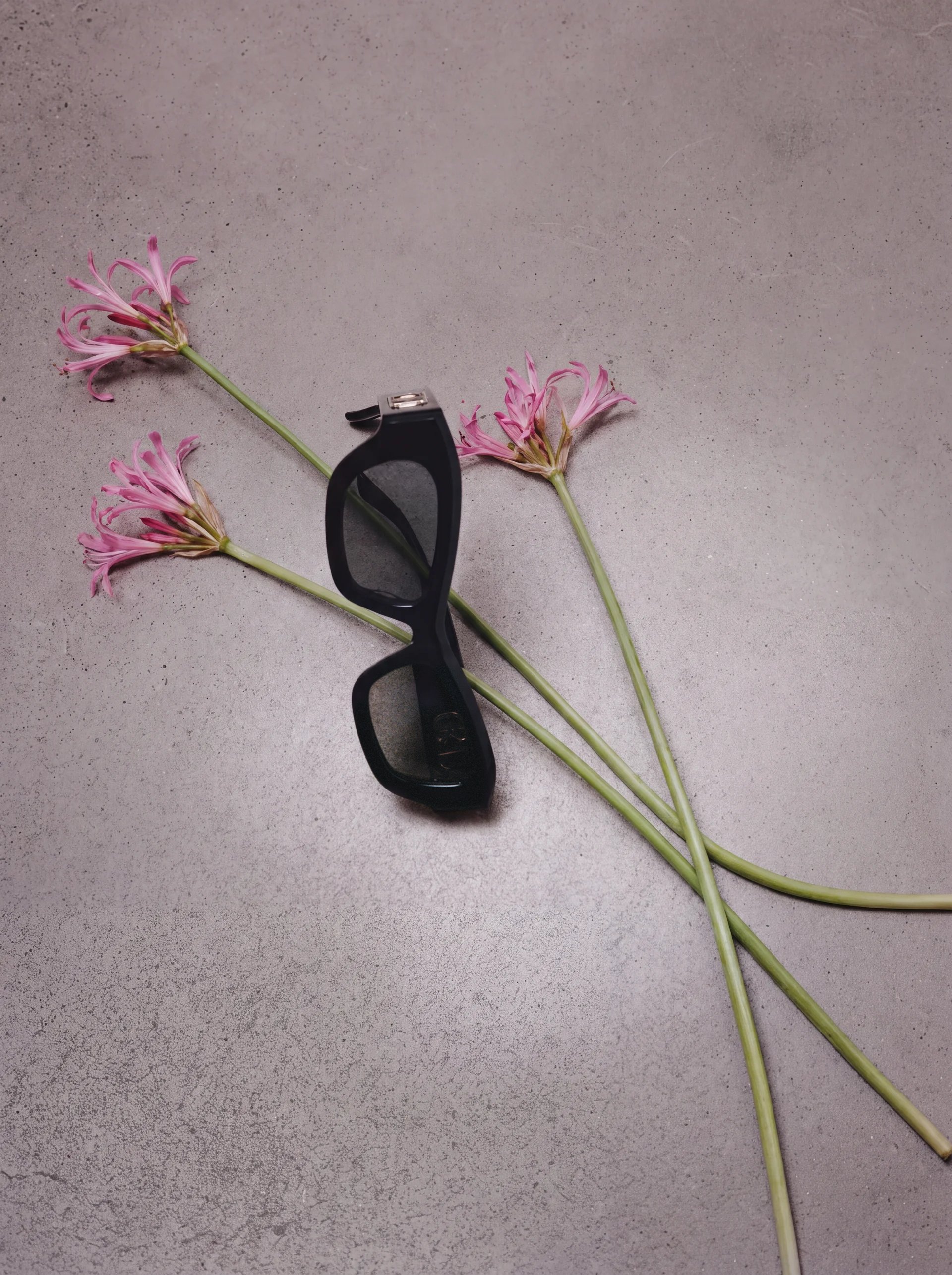 Lunettes: SOLANA